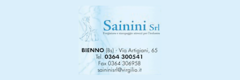 Sainini